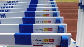 写真:ハードル2