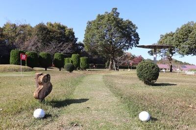 写真:パターゴルフ場4