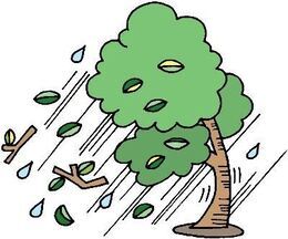 イラスト:木が大雨と強風でしなり、葉や枝が飛ばされている