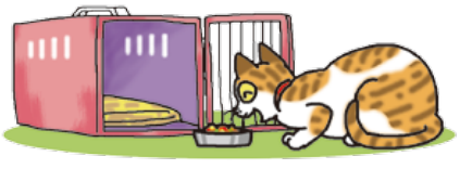 イラスト:猫をケージに慣らす