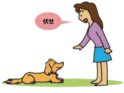 イラスト:犬をしつける