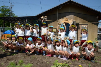 写真:じゃがいも掘り