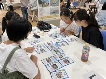 写真:海洋ゴミ カードゲーム