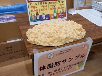 展示(体脂肪サンプル)