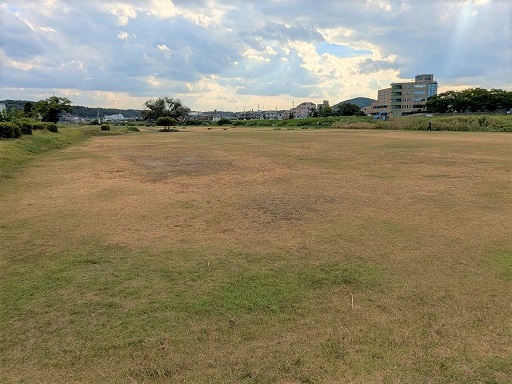 浅野緑地広場
