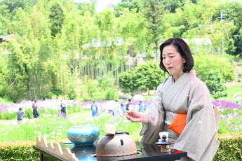 花菖蒲茶会